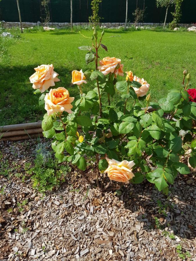 Mas D'Azur Bed & Breakfast Roquefort Les Pins Bagian luar foto