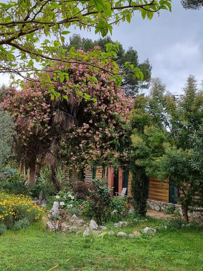 Mas D'Azur Bed & Breakfast Roquefort Les Pins Bagian luar foto