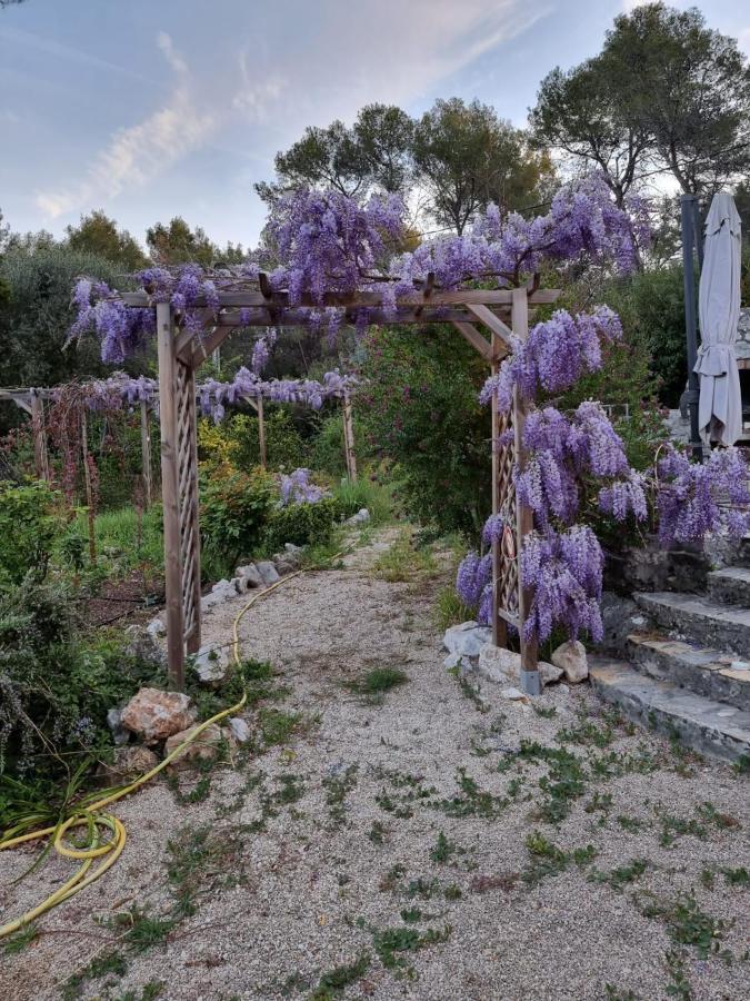 Mas D'Azur Bed & Breakfast Roquefort Les Pins Bagian luar foto