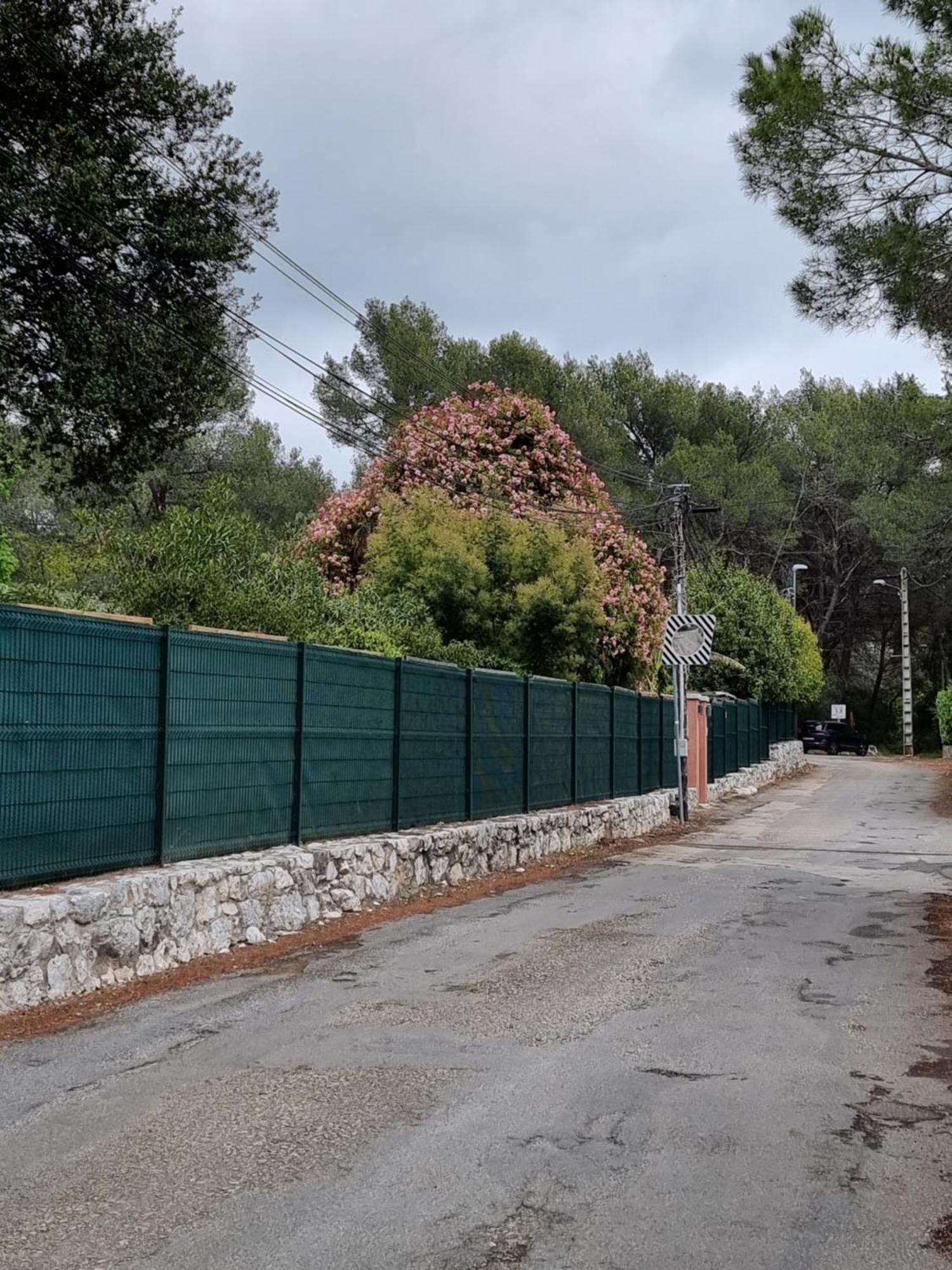 Mas D'Azur Bed & Breakfast Roquefort Les Pins Ruang foto